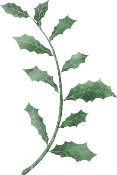 Watercolor Christmas Leaf