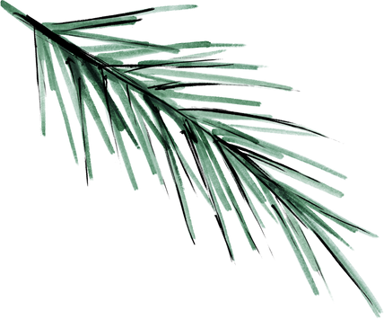 Watercolor Christmas Leaves